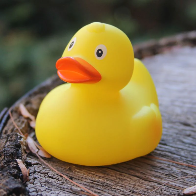 Rubber Duck